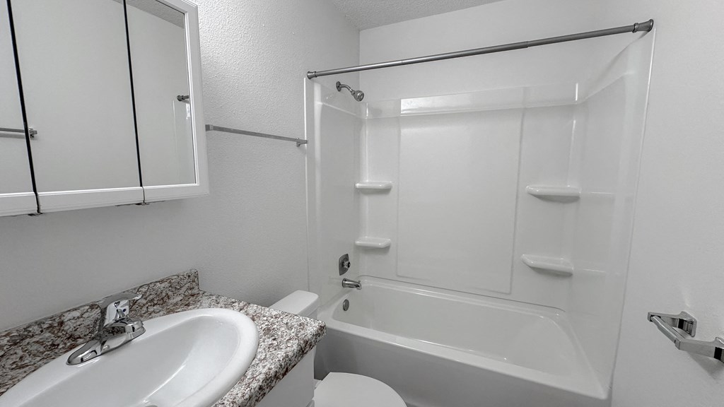 a bathroom with a sink and a shower and a toilet