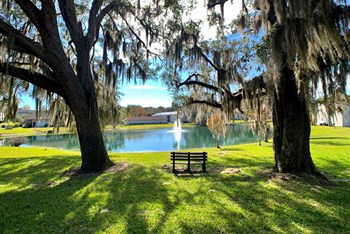 Beautifully Landscape - Photo Gallery 2