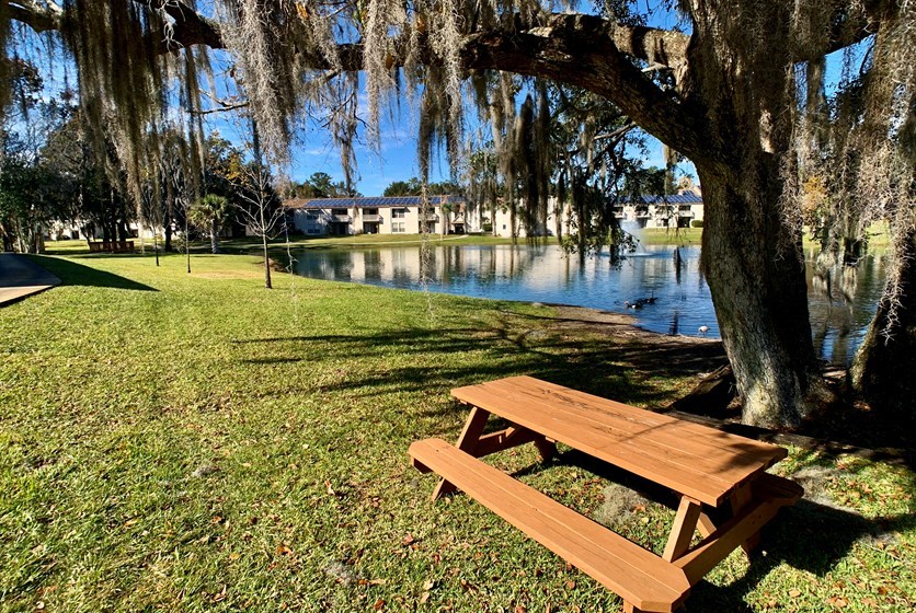 Pond View at Stoneridge Apartments, Florida, 32608