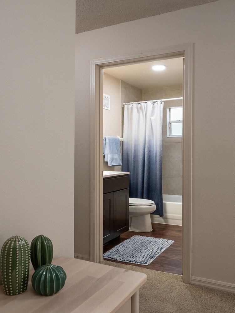 a bathroom with a toilet and a shower and a table with two cactuses