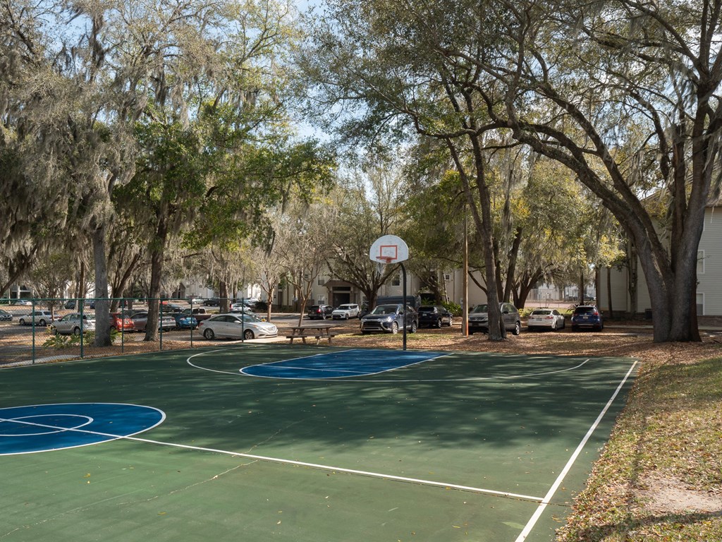 a basketball court in a park with trees