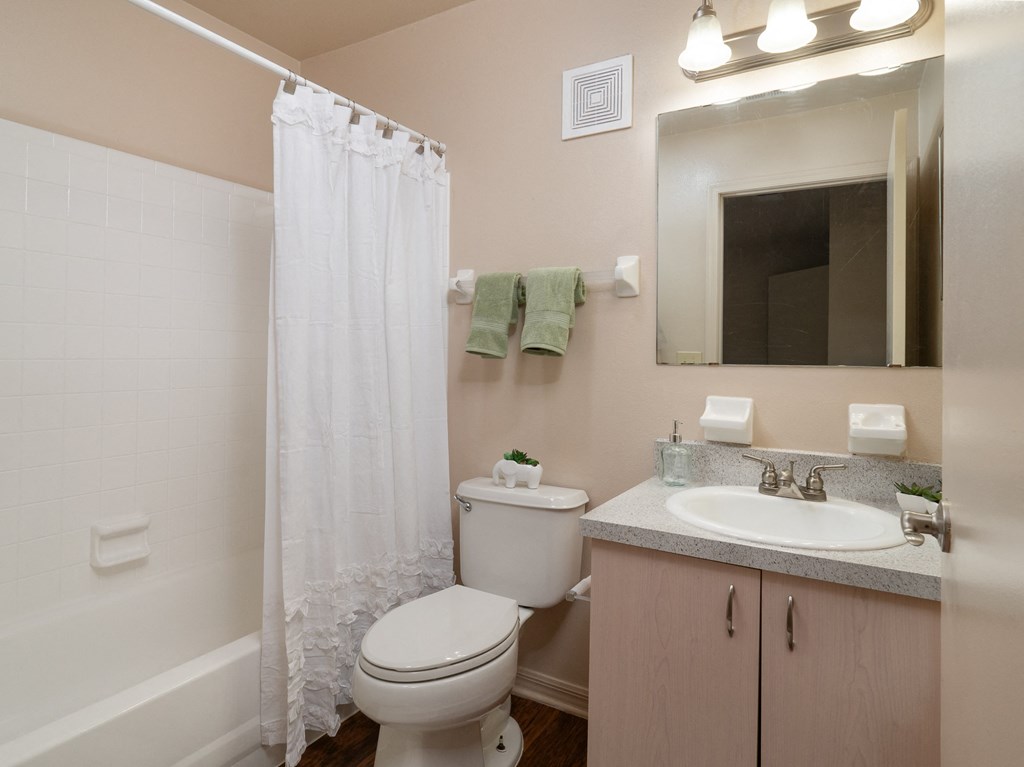 a bathroom with a shower and a toilet and a sink