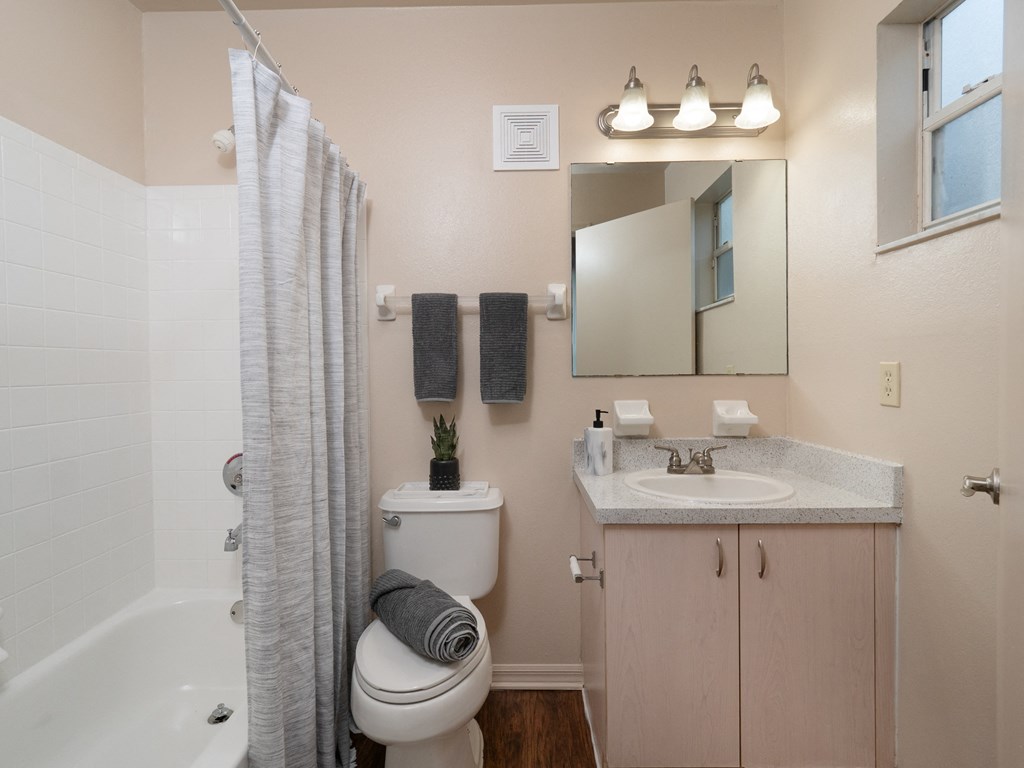 a bathroom with a shower toilet and sink and a mirror