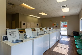 laundry - Photo Gallery 5