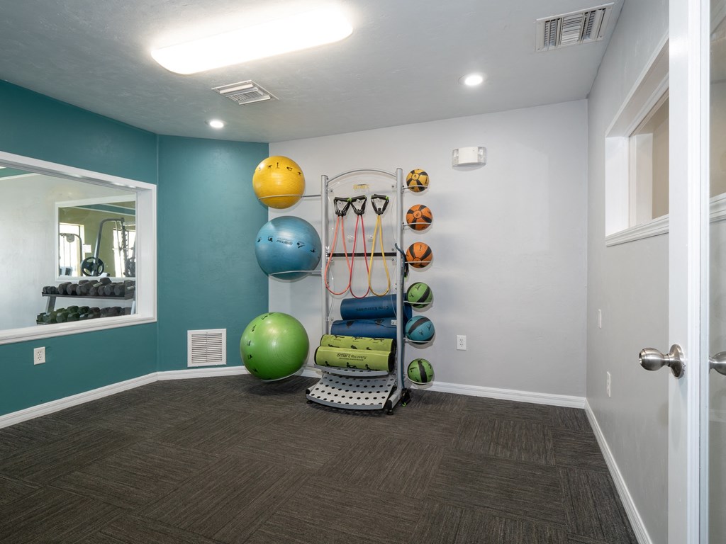 a workout room with weights and balls and a mirror at Stoneridge Apartments, Gainesville, 32608