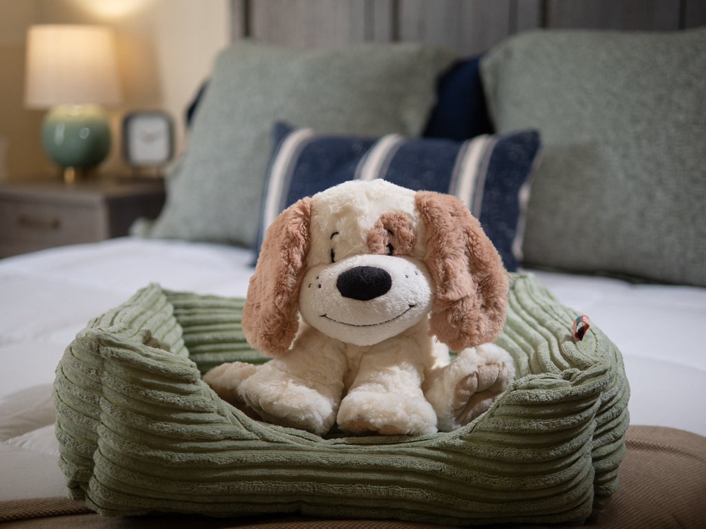 Stoneridge Apartments is pet friendly at Stoneridge Apartments, Gainesville, Florida