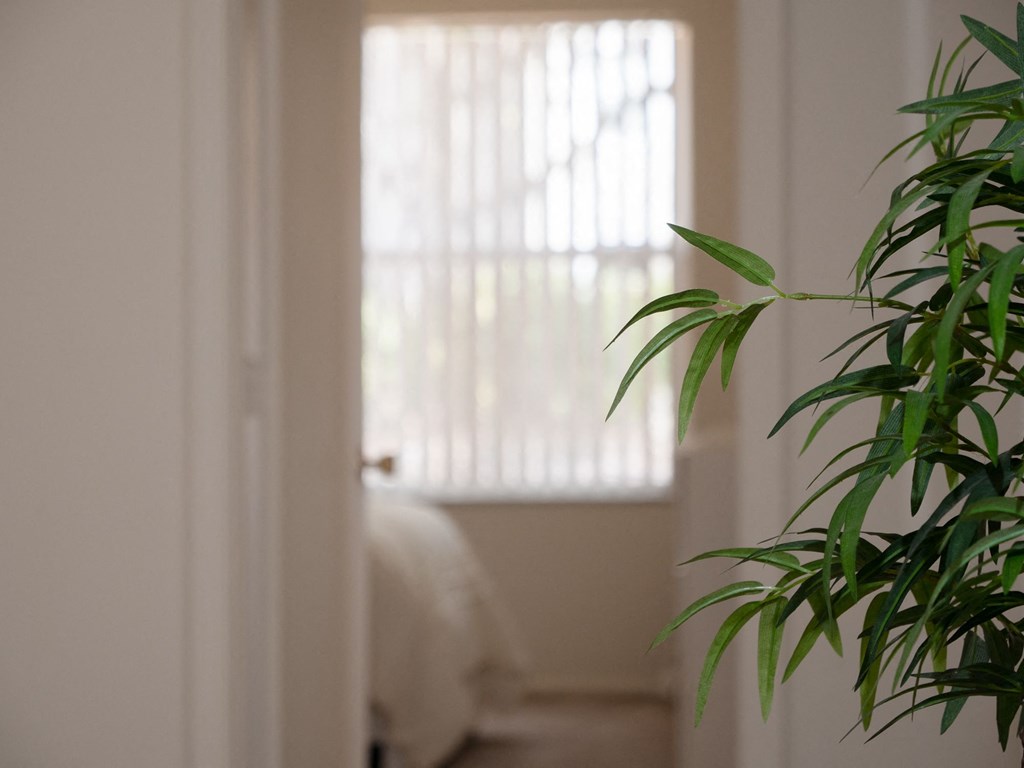 a room with a plant and a window at Stoneridge Apartments, Gainesville, Florida, 32608