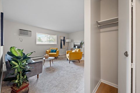A living room with a grey couch and a green plant.