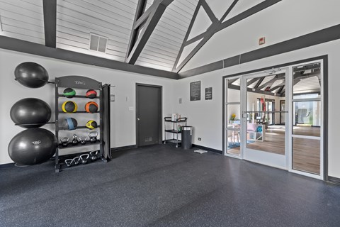 A gym room with a TRX suspension trainer and exercise balls.
