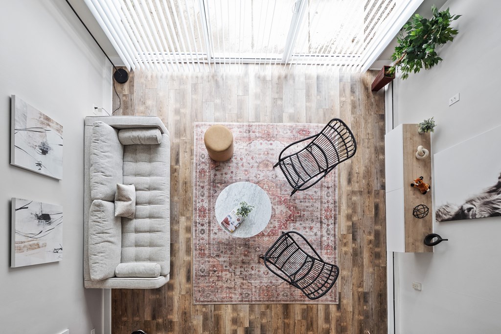 A room with a rug, a chair, a couch, a table and a plant.