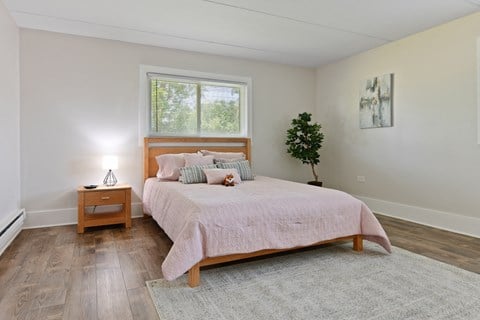 A large master bedroom with plenty of space and natural light at Fox Run Apartments in St Charles IL 60174
