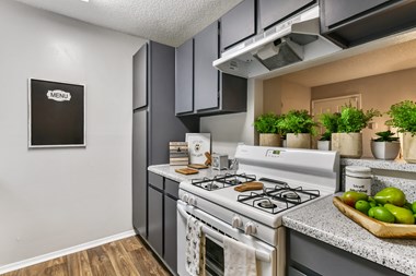 300 Riverside Pkwy 1-3 Beds Apartment for Rent - Photo Gallery 3