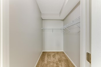 Dressing - Photo Gallery 16