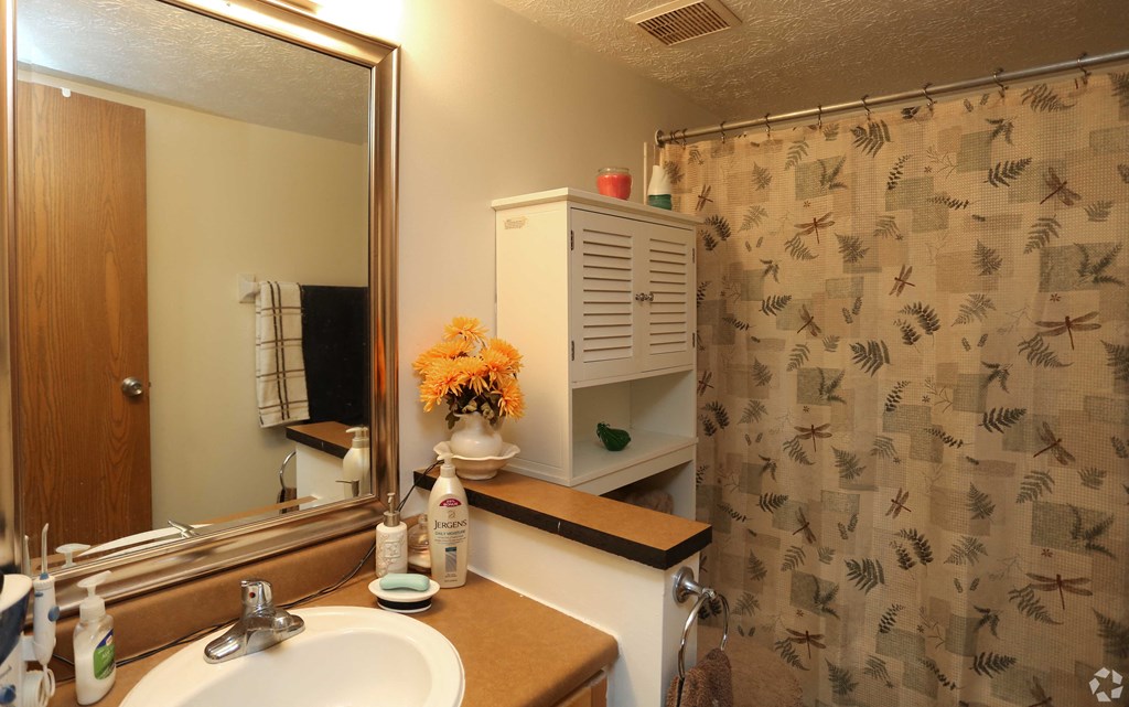 a bathroom with a sink and a shower and a mirror