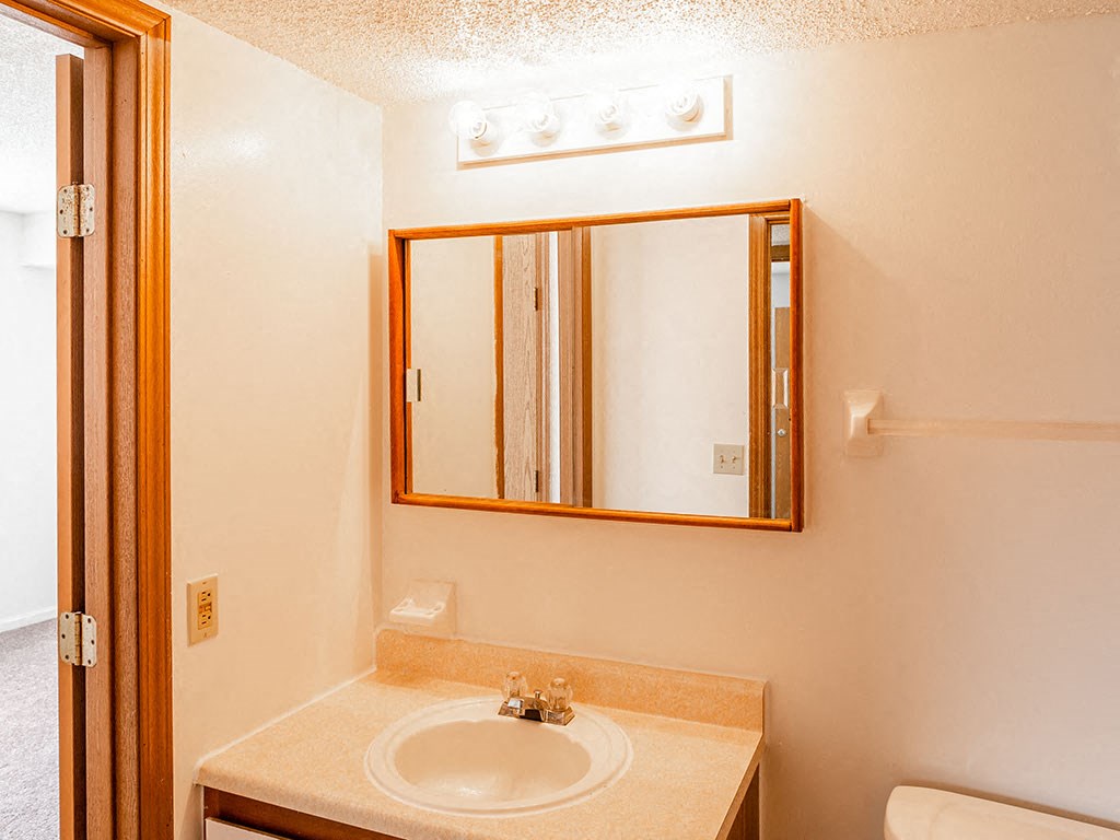 a bathroom with a sink and a mirror