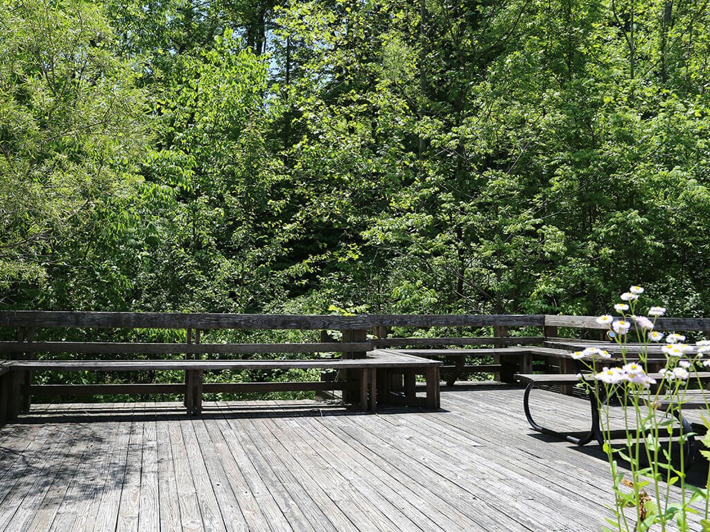 a wooden deck with a bench and trees