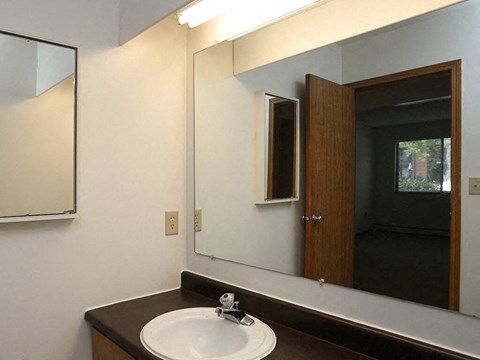 a bathroom with a sink and a mirror