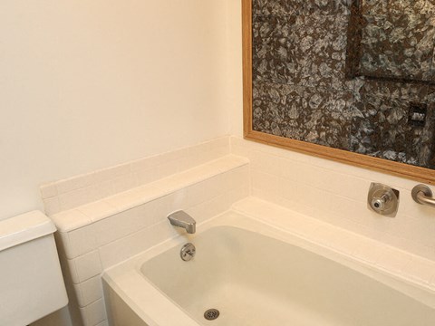 a bathroom with a bath tub and a mirror
