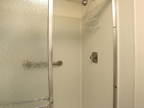 a shower in a bathroom with a glass door