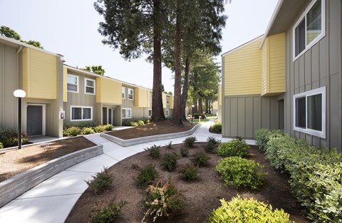 A row of houses with a tree in the middle.