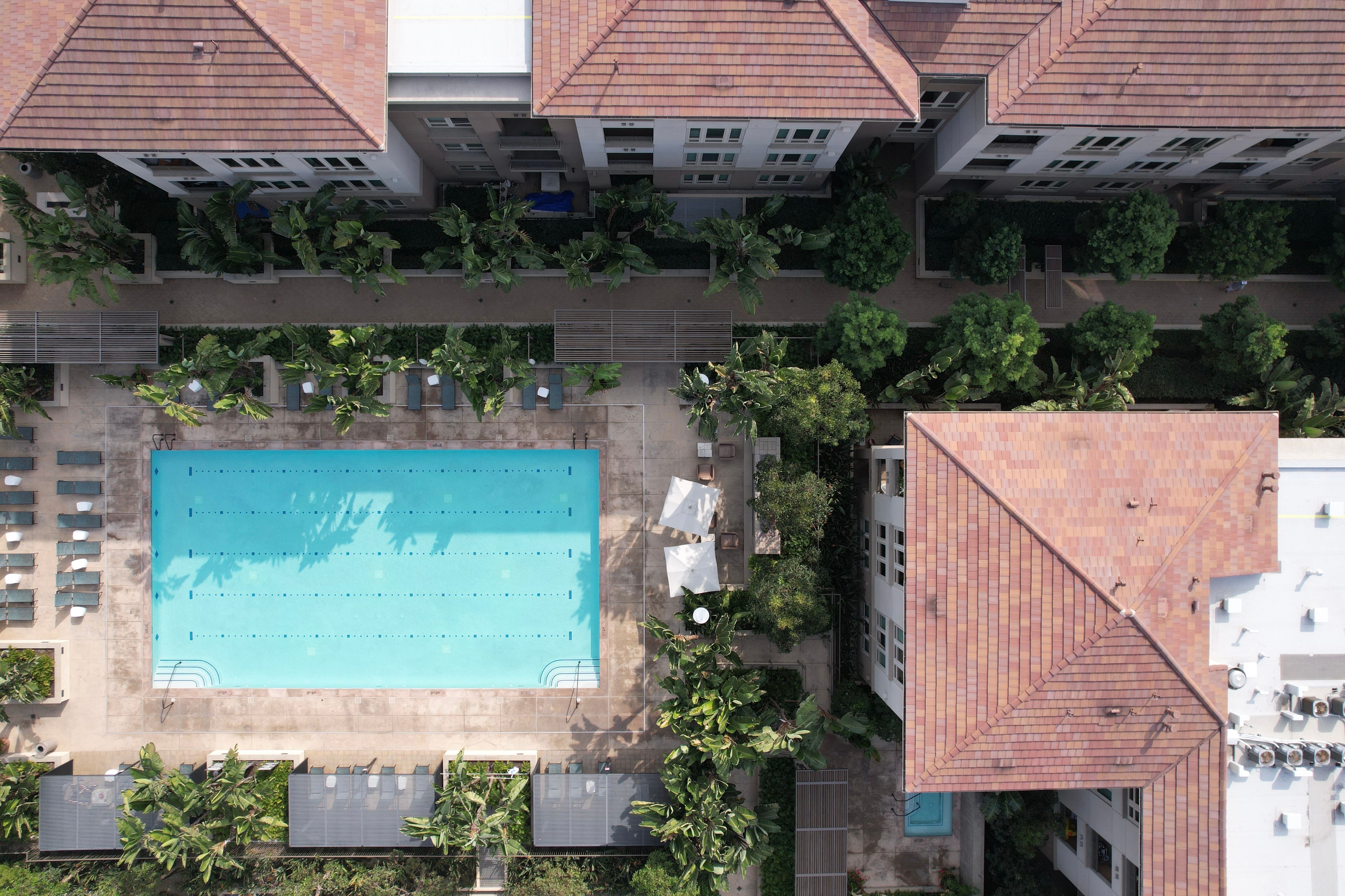 A swimming pool surrounded by trees and buildings.