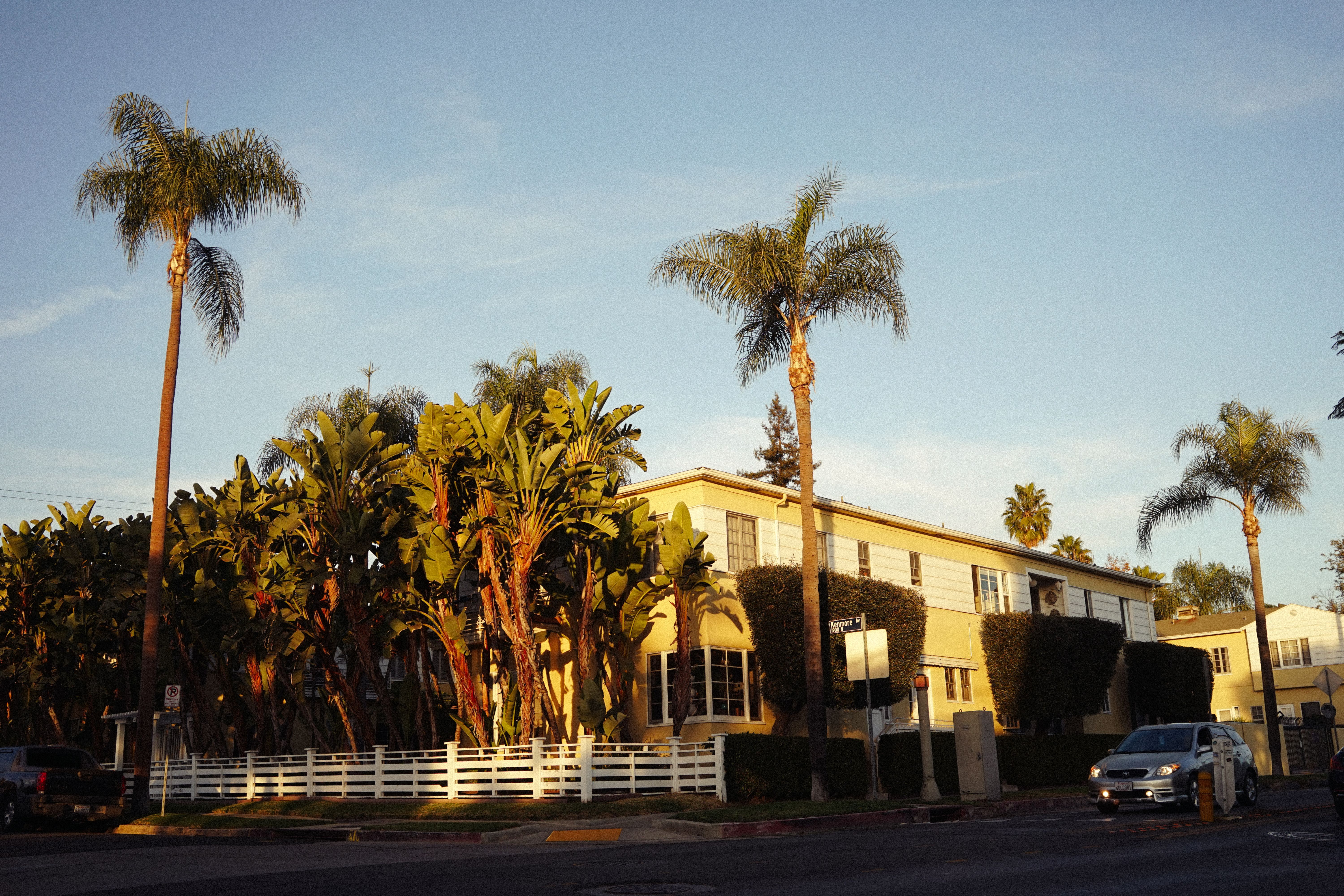 A row of palm trees in front of a building.