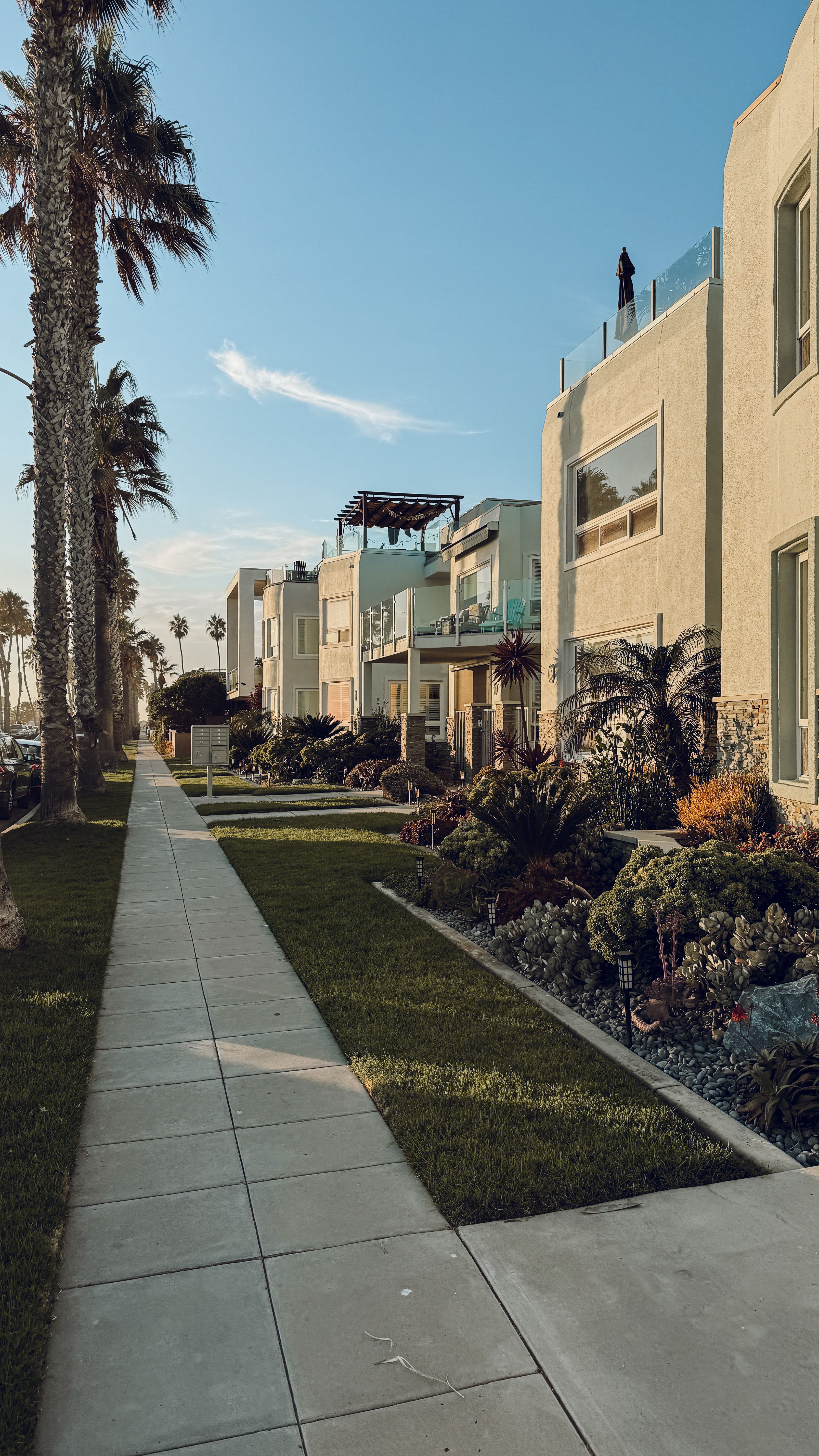 A long walkway leads to a row of houses with a palm tree on the left.