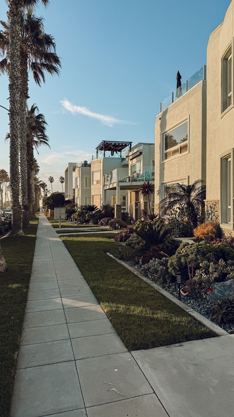 A long walkway leads to a row of houses with a palm tree on the left.