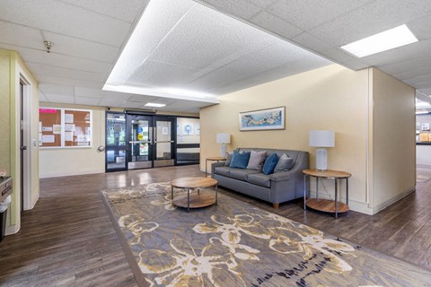 a living room with a couch and a rug