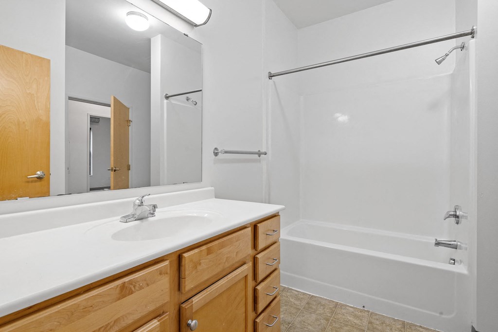 a bathroom with a sink and a shower and a mirror