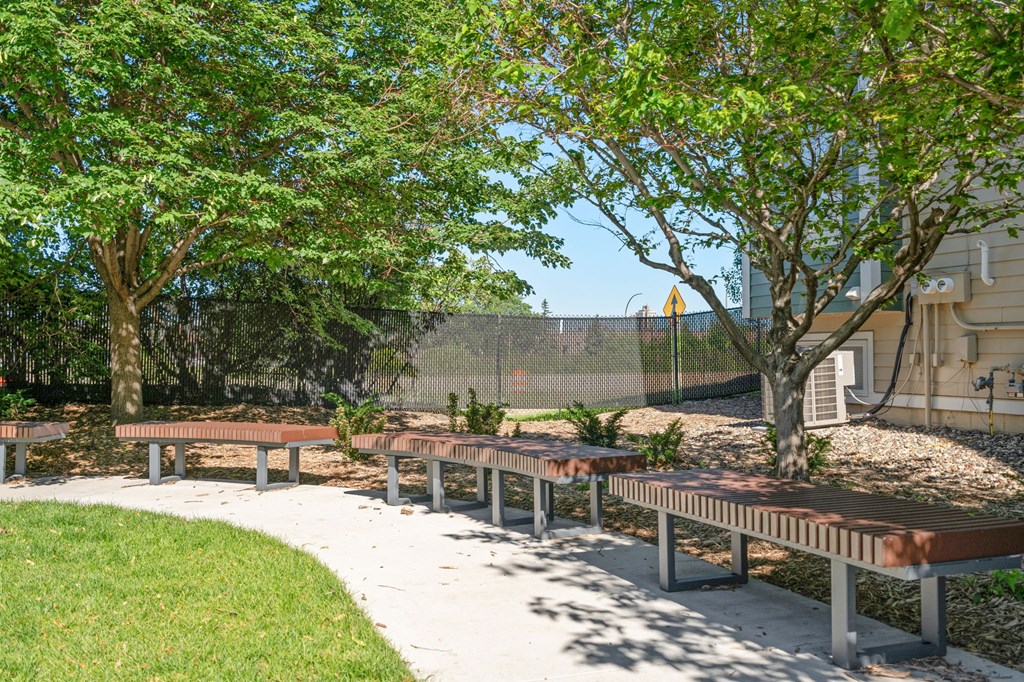 a sidewalk with benches and trees in a park