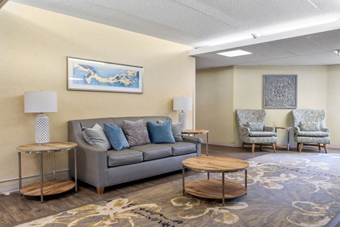 a living room with a couch and chairs and a rug