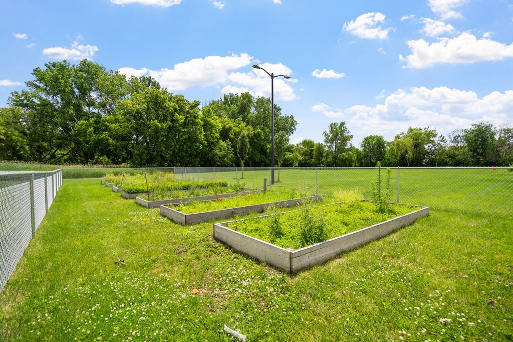 a view of some raised garden beds in a field