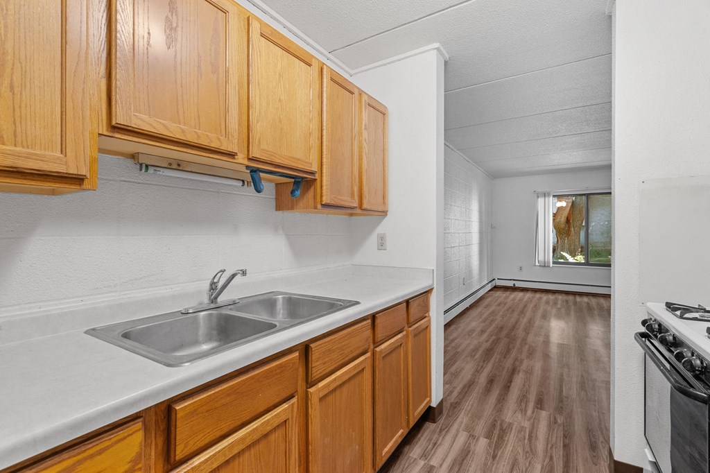 a kitchen with a sink and wooden cabinets