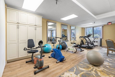 a gym with exercise equipment and exercise balls on the floor