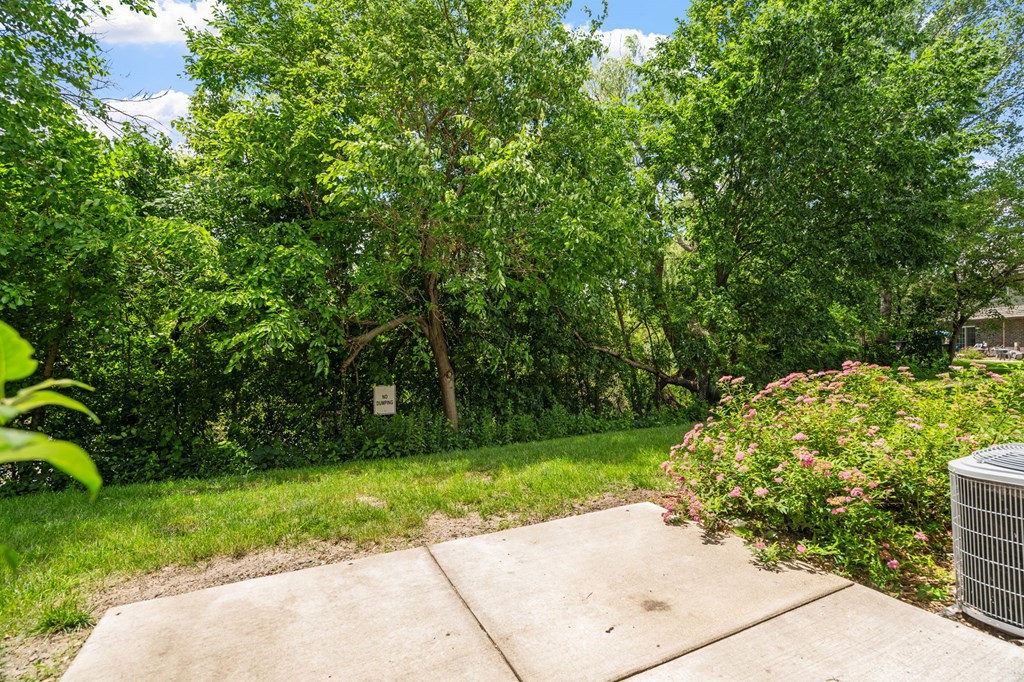 a yard with grass and trees and a sidewalk