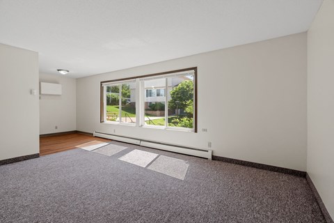a living room with a large window and a rug