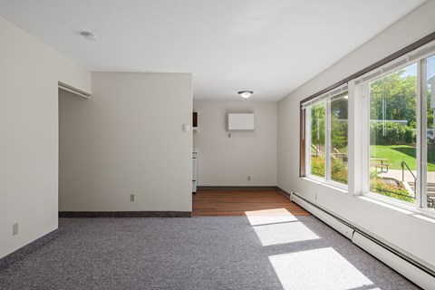 a living room with large windows and a rug