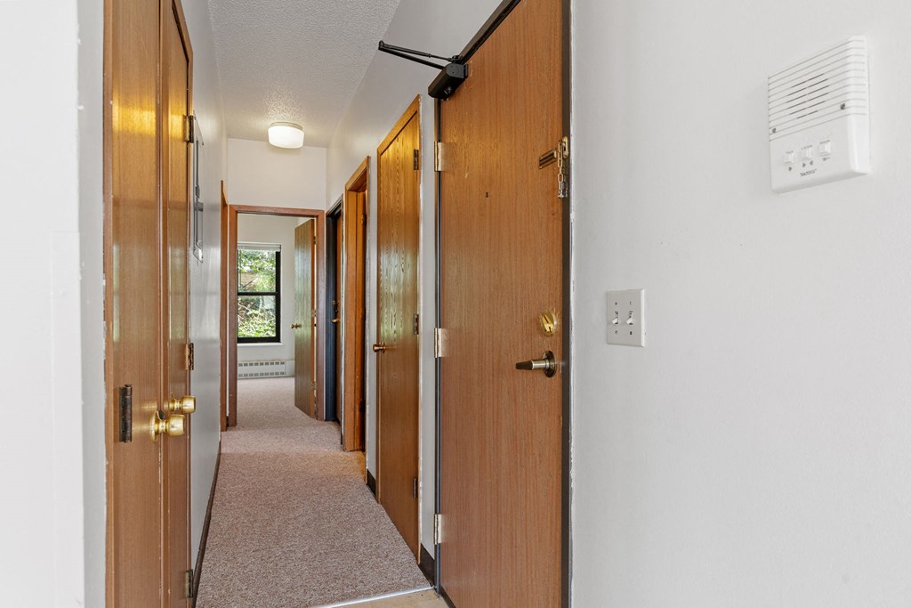 an empty hallway with wooden doors and a carpeted floor