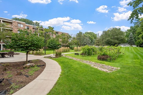 a park with grass and trees and a sidewalk