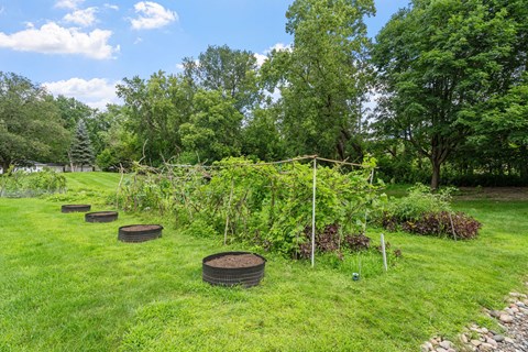a vegetable garden with several tires in the grass