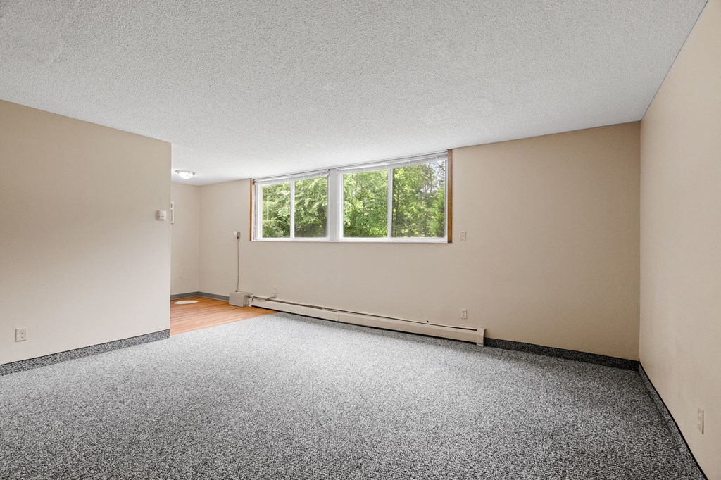 an empty room with carpet and a large window