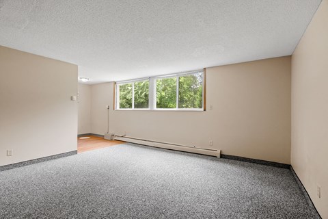 an empty room with carpet and a large window