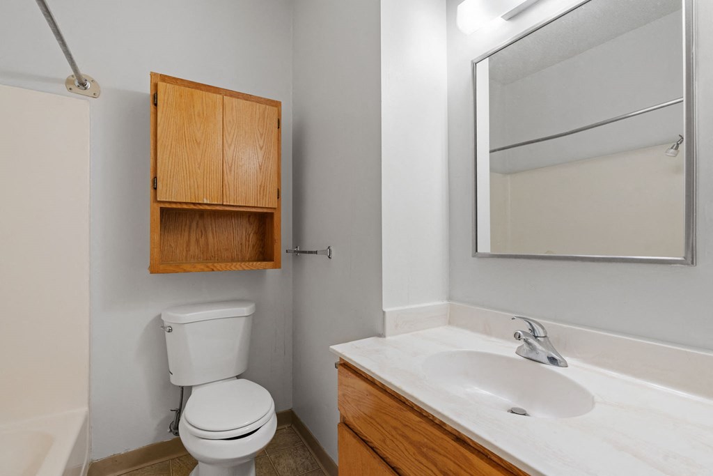 a bathroom with a toilet and a sink and a mirror