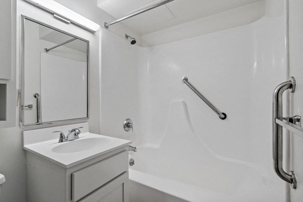 a bathroom with a sink and a shower and a mirror