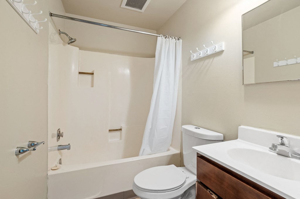 a bathroom with a shower toilet and sink and a mirror