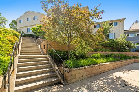 stairs leading up to a building with a tree in front of it
