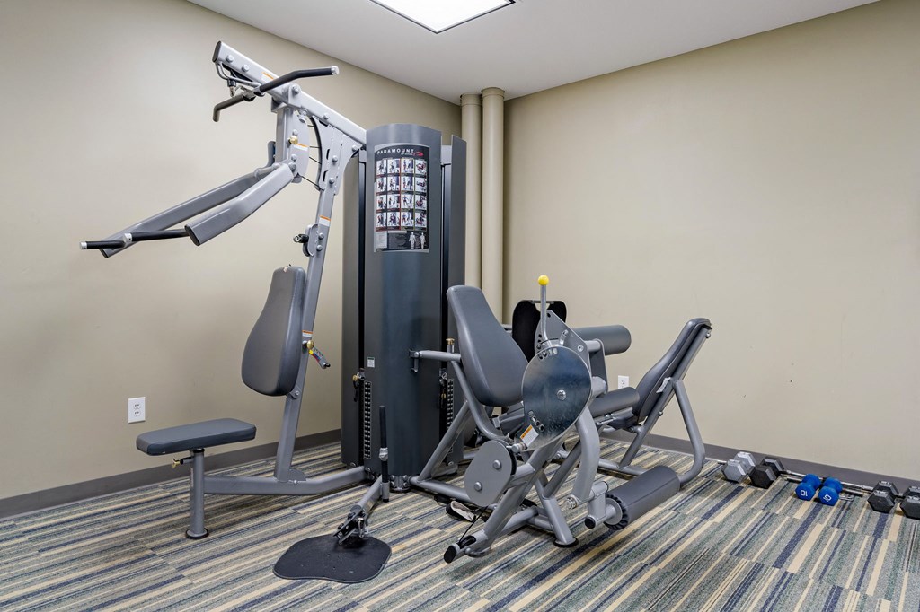 our gym is equipped with a treadmill and a weight machine