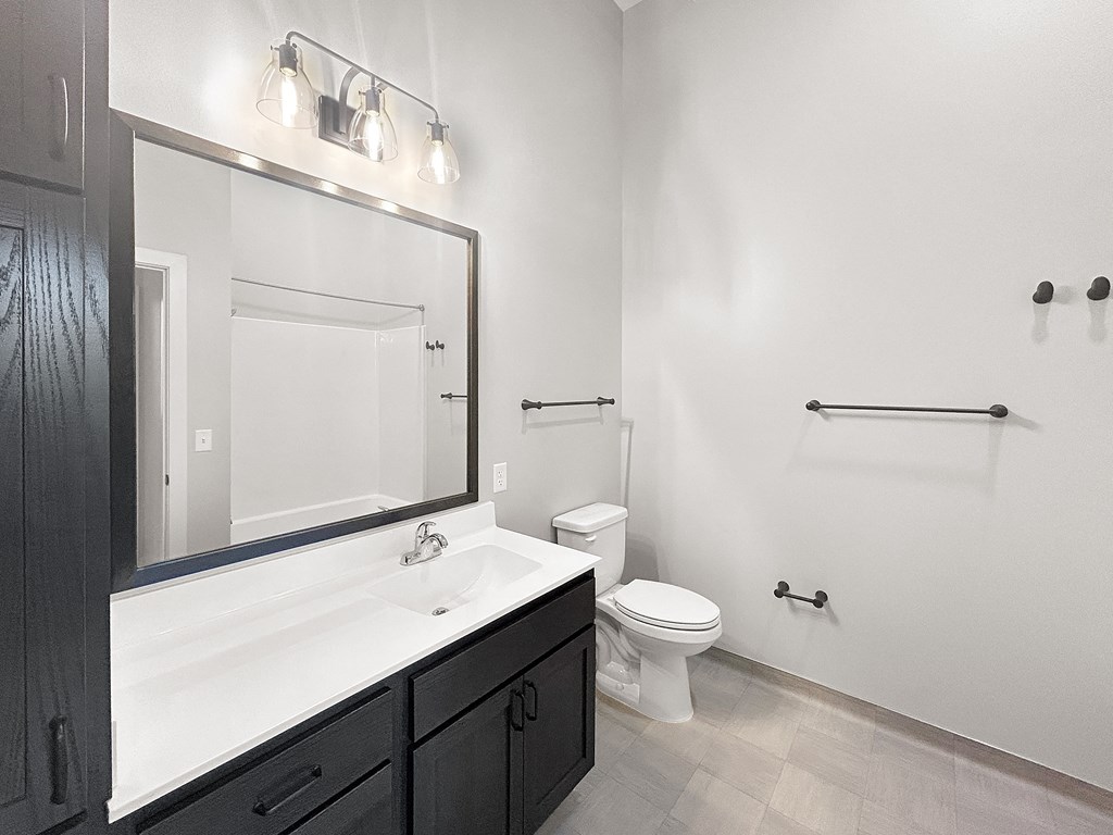 a bathroom with a sink and a toilet and a mirror