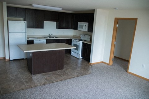 Spirit On Lake Apartments Minneapolis